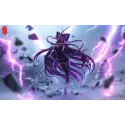 Fate/Stay Night Rider TY Studio