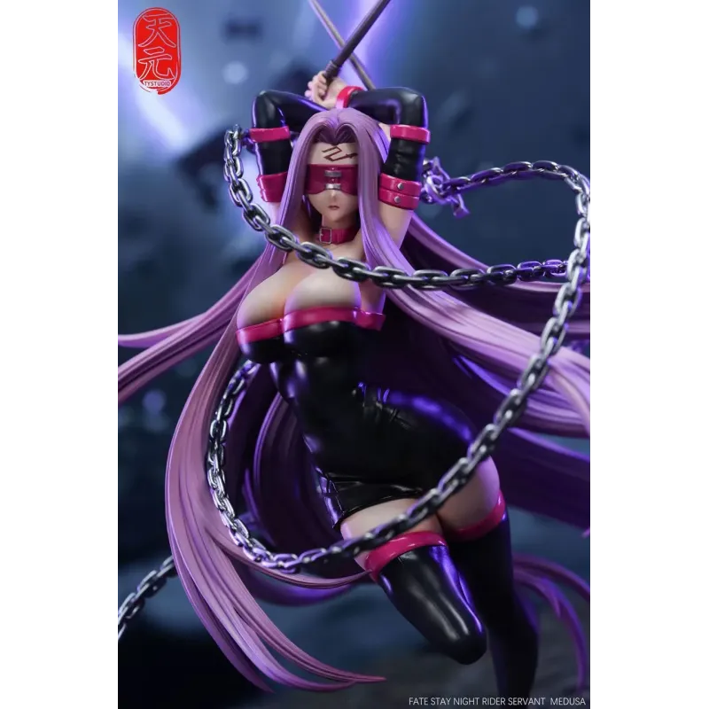 Fate/Stay Night Rider TY Studio