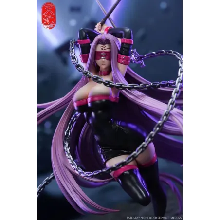 Fate/Stay Night Rider TY Studio