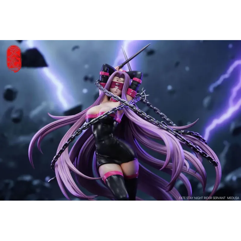 Fate/Stay Night Rider TY Studio