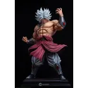 Dragon Ball Z Broly BLS