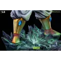 Dragon Ball Z Broly BLS