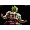 Dragon Ball Z Broly BLS