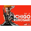 Bleach Ichigo Kurosaki 18 The Conflict Semi Hollowfied Ichigo WCF YZ Studio