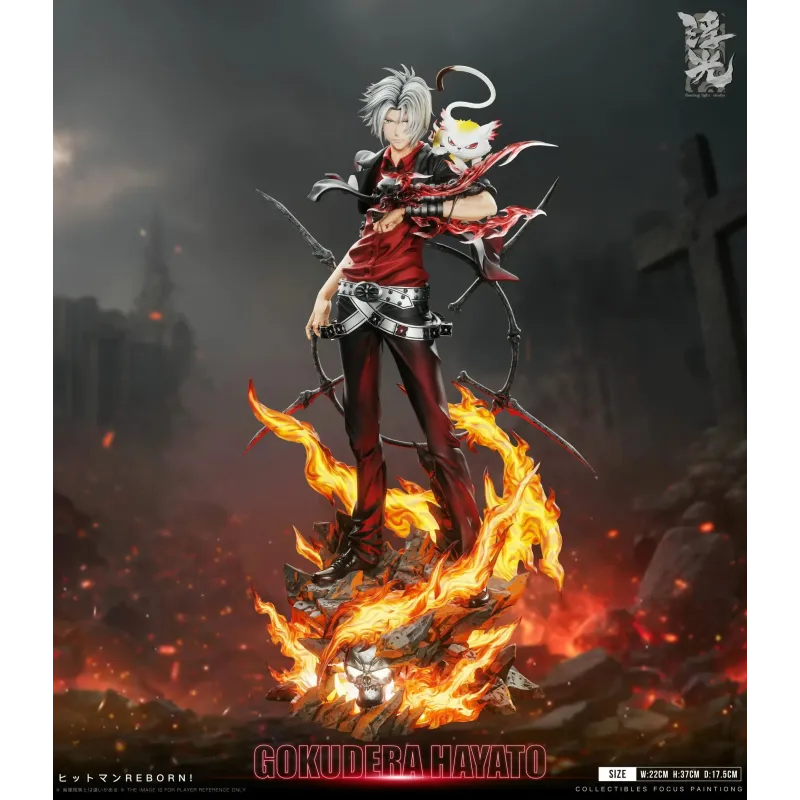 Katekyo Hitman Reborn 002 Hayato Gokudera Floating Light Studio