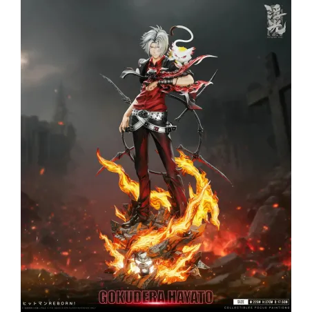 Katekyo Hitman Reborn 002 Hayato Gokudera Floating Light Studio