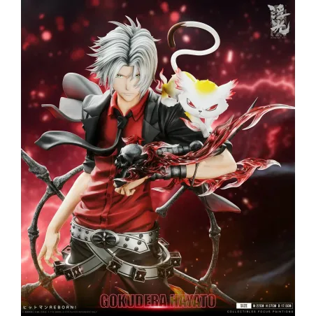 Katekyo Hitman Reborn 002 Hayato Gokudera Floating Light Studio
