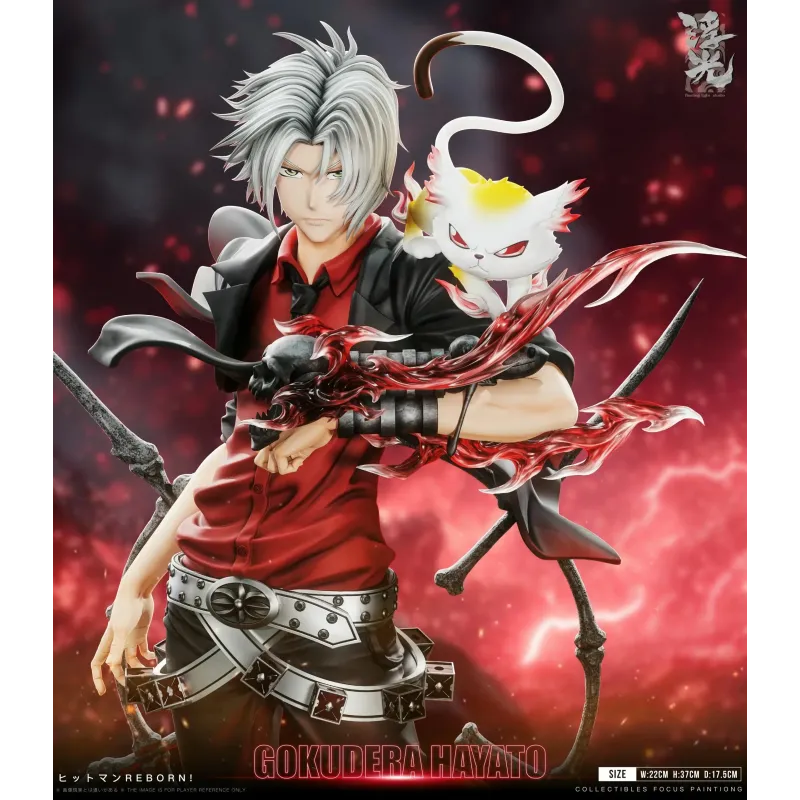 Katekyo Hitman Reborn 002 Hayato Gokudera Floating Light Studio