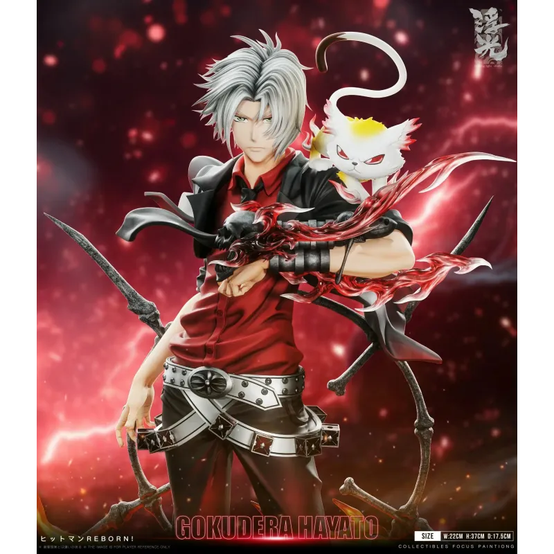 Katekyo Hitman Reborn 002 Hayato Gokudera Floating Light Studio
