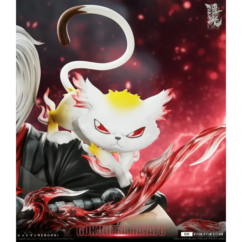Katekyo Hitman Reborn 002 Hayato Gokudera Floating Light Studio