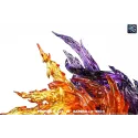 One Piece Portgas D Ace vs Marshall D Teach BG Studio