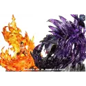 One Piece Portgas D Ace vs Marshall D Teach BG Studio
