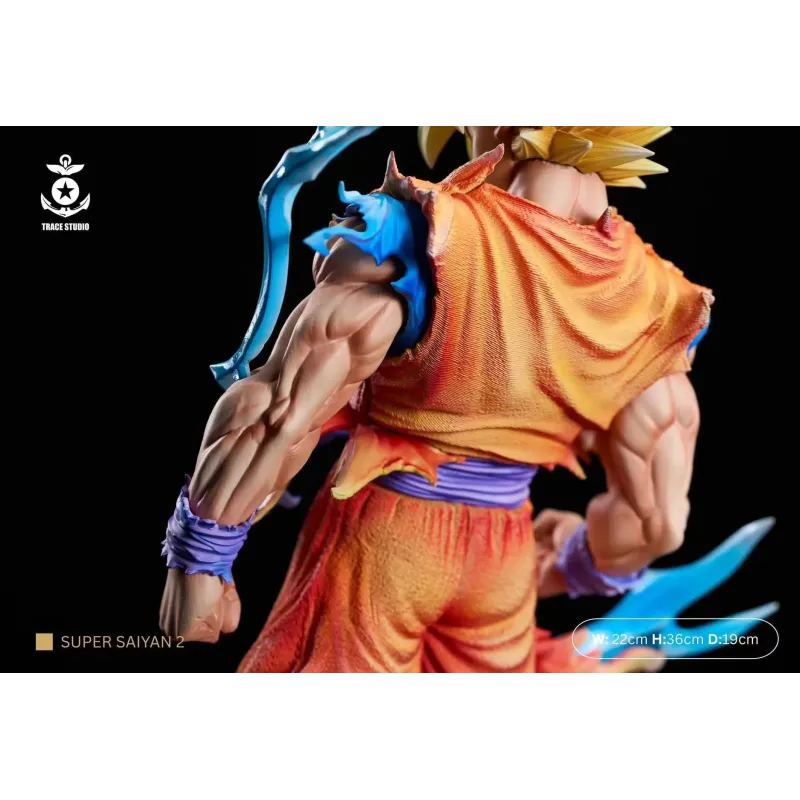 Dragon Ball Z Goku SSJ2 Trace Studio