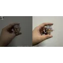 Attack on Titan Armored Titan Warhead Studio