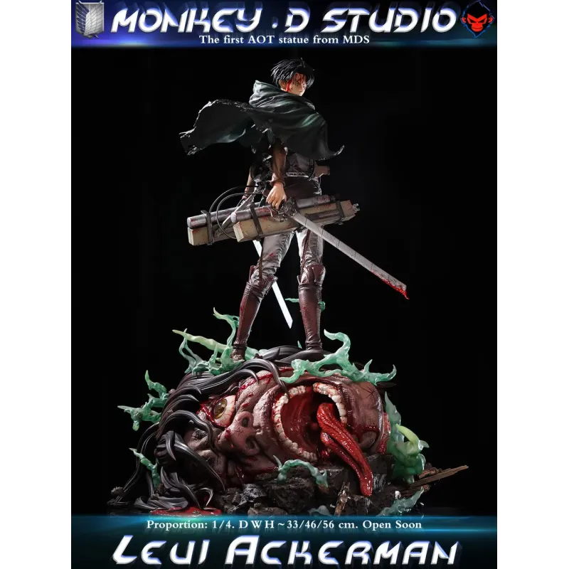 Attack on Titan Levi Ackerman Monkey D Studio