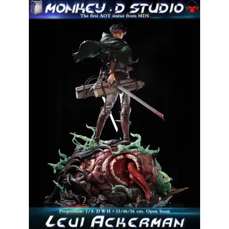 Attack on Titan Levi Ackerman Monkey D Studio