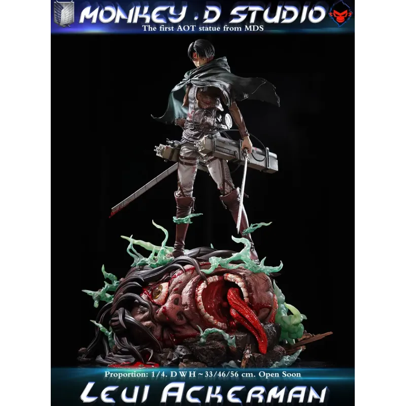 Attack on Titan Levi Ackerman Monkey D Studio