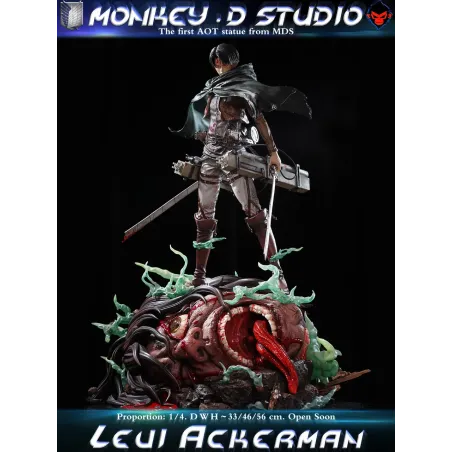 Attack on Titan Levi Ackerman Monkey D Studio