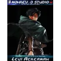 Attack on Titan Levi Ackerman Monkey D Studio