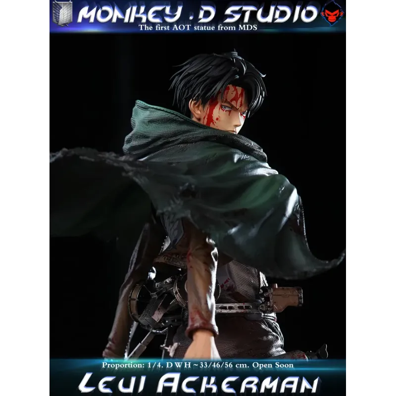 Attack on Titan Levi Ackerman Monkey D Studio
