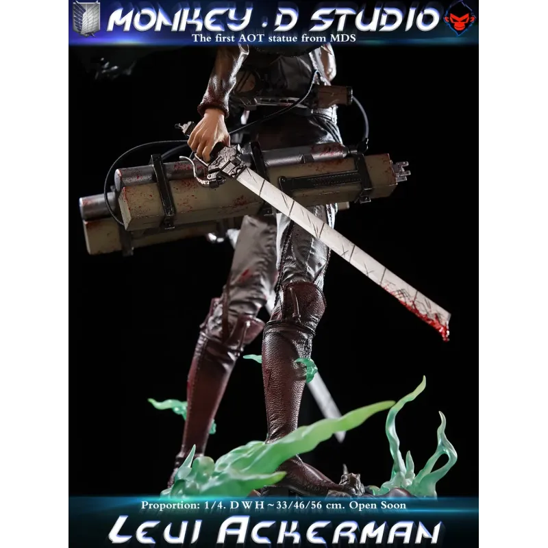 Attack on Titan Levi Ackerman Monkey D Studio