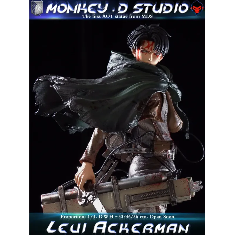 Attack on Titan Levi Ackerman Monkey D Studio