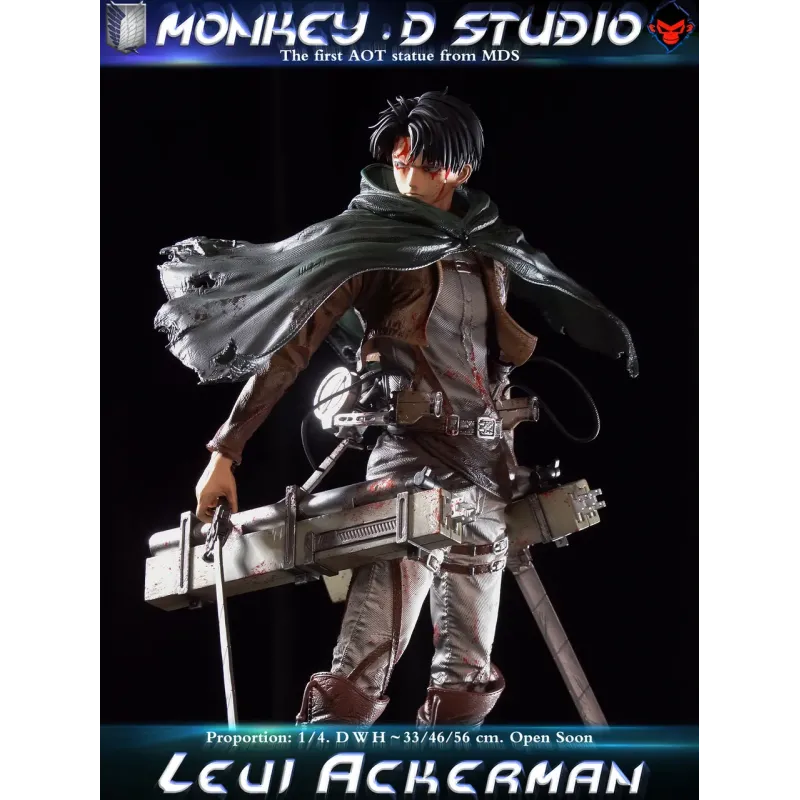 Attack on Titan Levi Ackerman Monkey D Studio