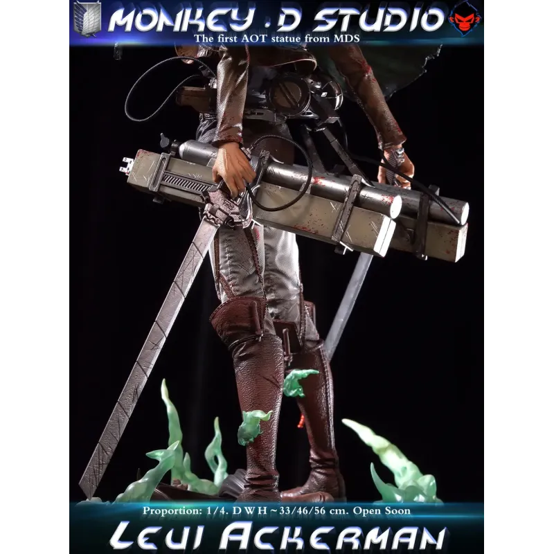 Attack on Titan Levi Ackerman Monkey D Studio