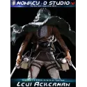 Attack on Titan Levi Ackerman Monkey D Studio