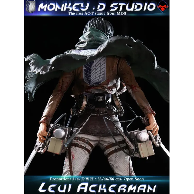 Attack on Titan Levi Ackerman Monkey D Studio