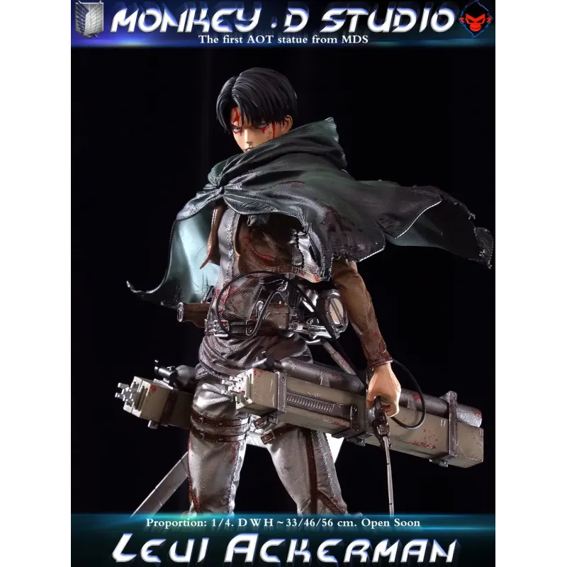 Attack on Titan Levi Ackerman Monkey D Studio