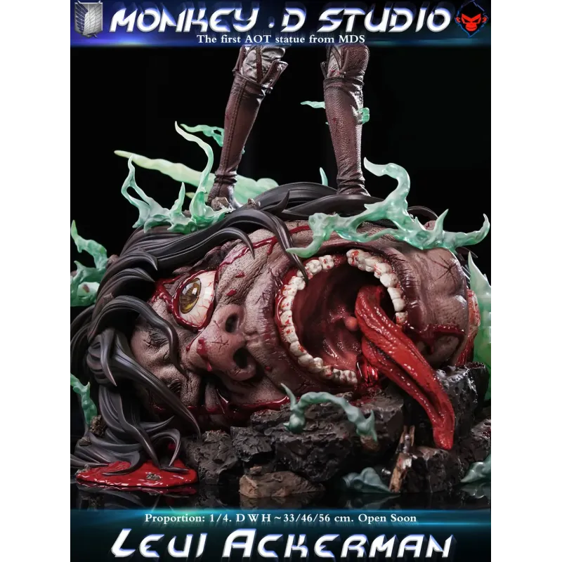 Attack on Titan Levi Ackerman Monkey D Studio