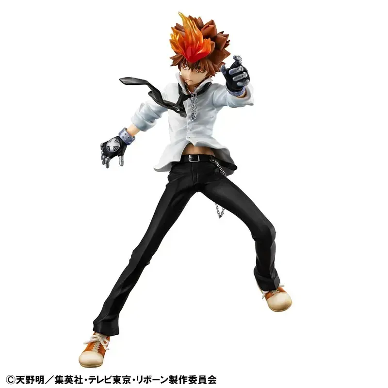 Katekyo Hitman Reborn Tsunayoshi Sawada & Kyoya Hibari & Reborn Megahouse