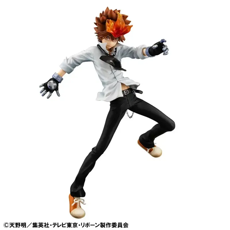 Katekyo Hitman Reborn Tsunayoshi Sawada & Kyoya Hibari & Reborn Megahouse
