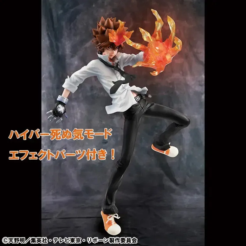 Katekyo Hitman Reborn Tsunayoshi Sawada & Kyoya Hibari & Reborn Megahouse