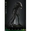 Alien Big Chap Hot Toys