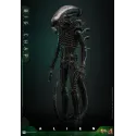 Alien Big Chap Hot Toys