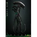 Alien Big Chap Hot Toys