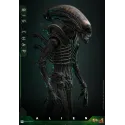 Alien Big Chap Hot Toys