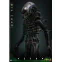 Alien Big Chap Hot Toys
