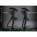 Alien Big Chap Hot Toys