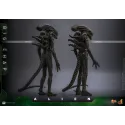 Alien Big Chap Hot Toys
