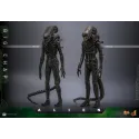 Alien Big Chap Hot Toys