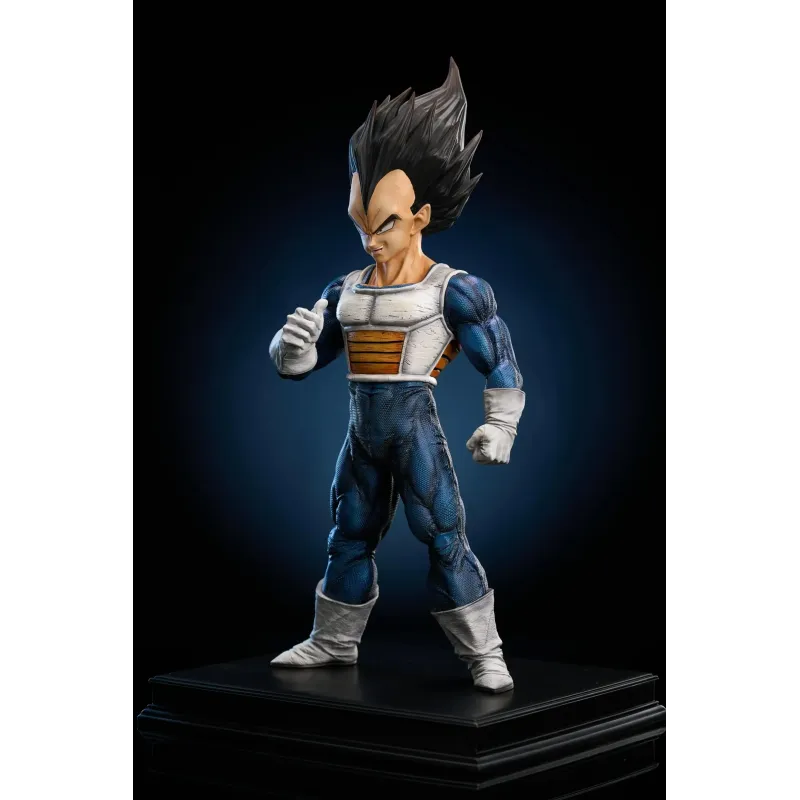 Dragon Ball Z Vegeta To Youth Studio