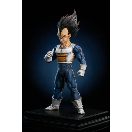 Dragon Ball Z Vegeta To Youth Studio
