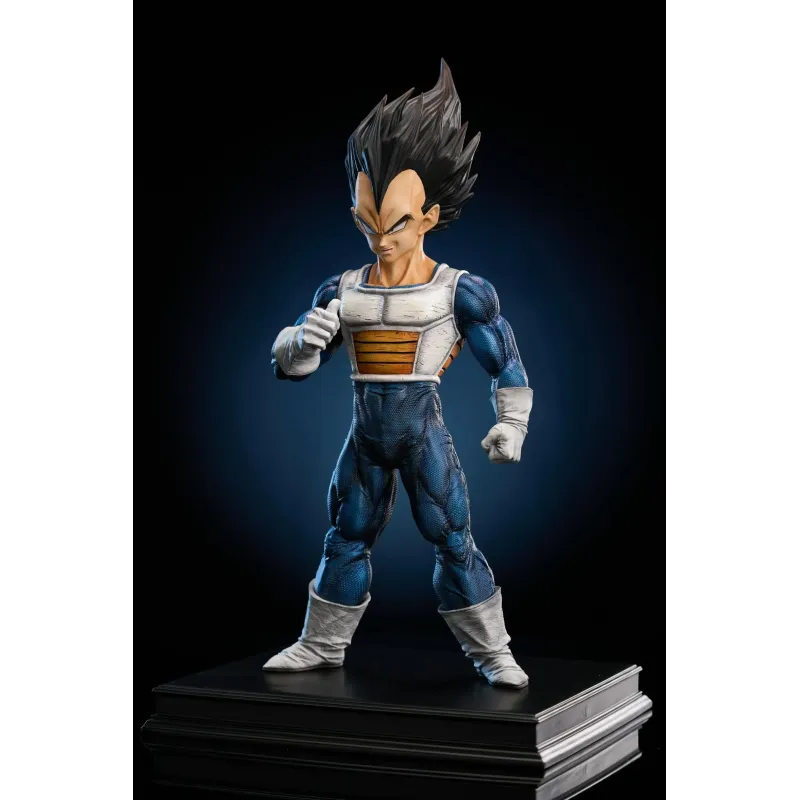 Dragon Ball Z Vegeta To Youth Studio