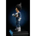 Dragon Ball Z Vegeta To Youth Studio