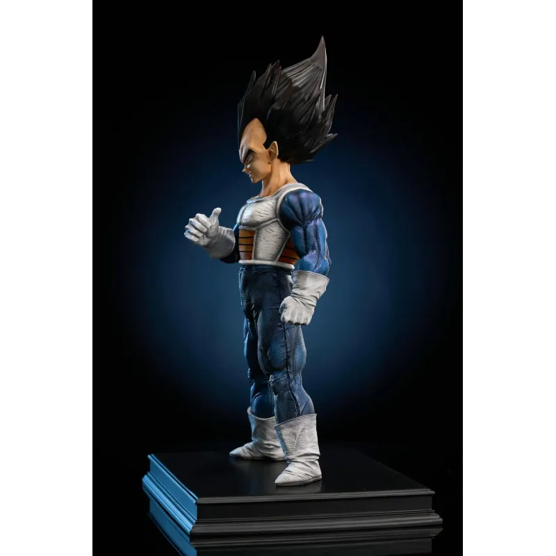 Dragon Ball Z Vegeta To Youth Studio