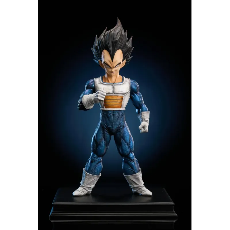 Dragon Ball Z Vegeta To Youth Studio