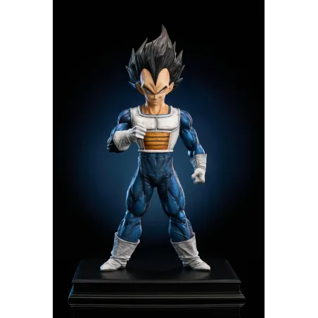 Dragon Ball Z Vegeta To Youth Studio